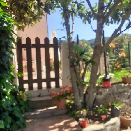 Semesterbostad Cozy House With Garden In *